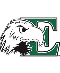 Eastern Michigan Eagles Cornhole Boards