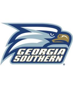 Georgia Southern Eagles Cornhole Boards