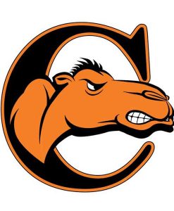Campbell Fighting Camels Cornhole Boards