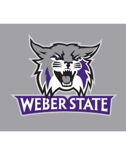 Weber State Wildcats Cornhole Boards
