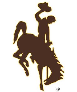 Wyoming Cowboys Cornhole Boards